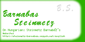 barnabas steinmetz business card